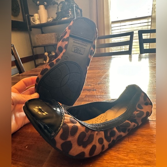 Flats - Picture 5 of 14